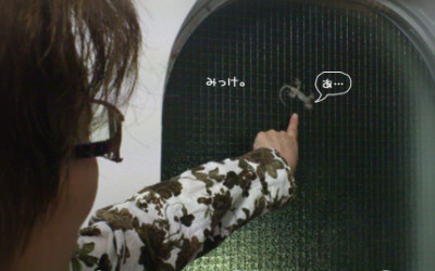 11月ですってっ！