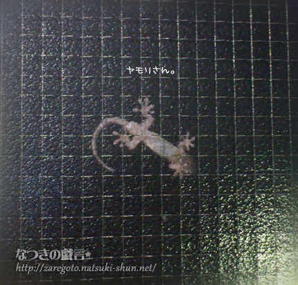 11月ですってっ！