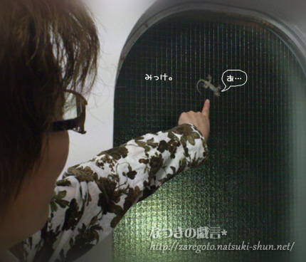 11月ですってっ！