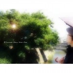 あれは…まだ陽射しのキツイ頃じゃった