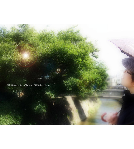 あれは…まだ陽射しのキツイ頃じゃった