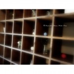 あれは…まだ陽射しのキツイ頃じゃった